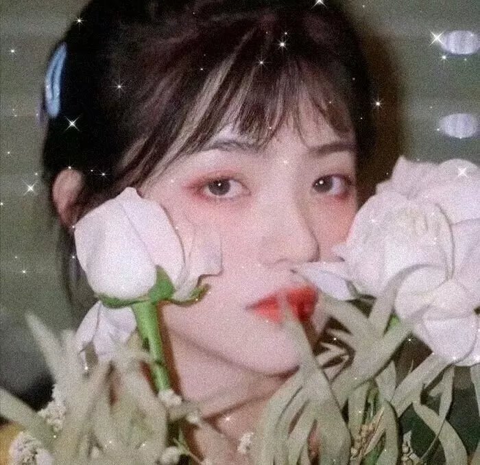 杰克茜